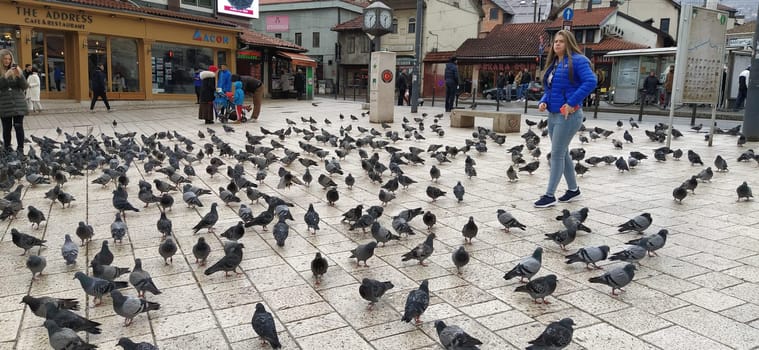Sarajevo, Bosnia and Herzegovina, March 8, 2020, people walk the central streets of Sarajevo feeding pigeons. Bascarsija and square. Islamic landmarks and tourist sites. Birds walk on the pavement.