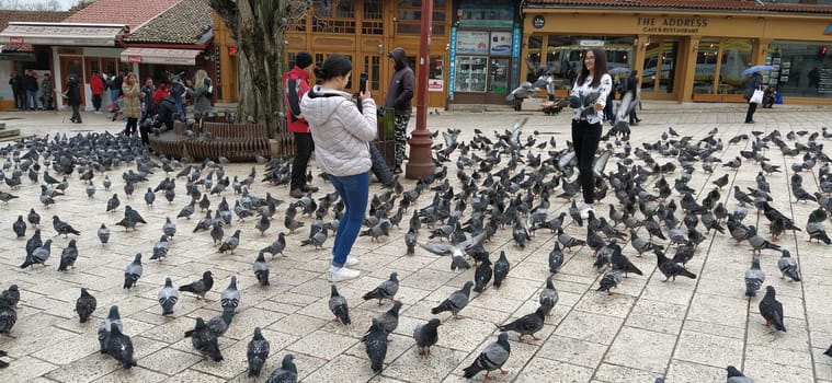 Sarajevo, Bosnia and Herzegovina, March 8, 2020, people walk the central streets of Sarajevo feeding pigeons. Bascarsija and square. Islamic landmarks and tourist sites. Birds walk on the pavement.