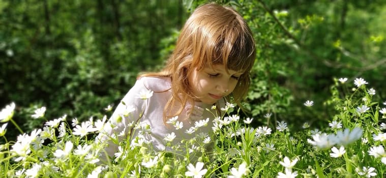 Cute girl with blond hair in the meadow. Wildflowers are white. Stellaria is a genus of flowering plants in the clove family. The baby is happy. The girl sniffs flowers, touches them with her hands and smiles