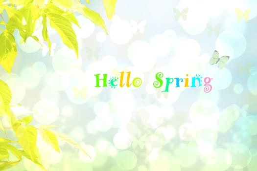 Hello spring background. Yellow maple in spring over abstract bright spring or summer landscape texture with butterflies and text. Space for sale offer. Beautiful backdrop.