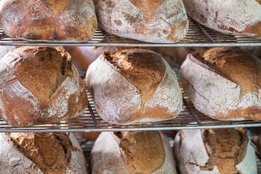 Tasted and fresh beautiful bread ready to be cooked