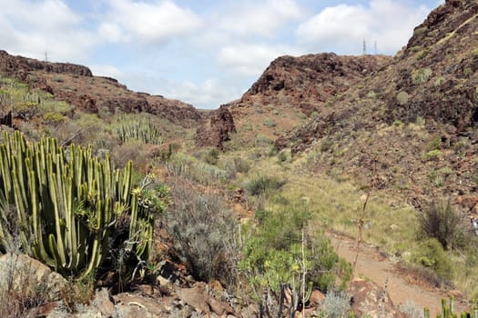 Barranco de los Guinchos , Gran Canaria, Spanien, San Agustin