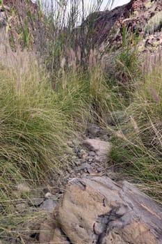 Barranco de los Guinchos , Gran Canaria, Spanien, San Agustin