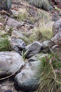 Barranco de los Guinchos , Gran Canaria, Spanien, San Agustin