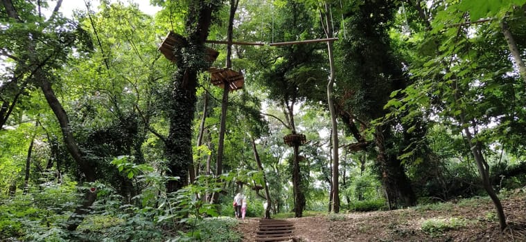 Go Ape Adventure. Located in national parks and local recreational facilities, Wooden and rope structures for movement