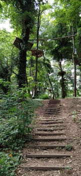 Go Ape Adventure. Located in national parks and local recreational facilities, Wooden and rope structures for movement