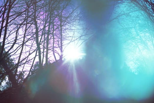Psychic waves of light in the forest, spirituality and religious belief, inner dimension, personal growth, holy spirit