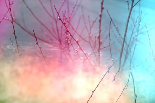 Psychic waves of light in nature, spirituality and religious belief, inner dimension, personal growth, holy spirit