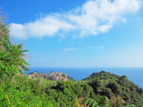 View of the  Corniglia on Italian Coast