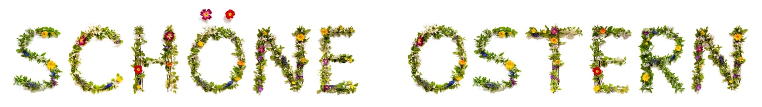 Blooming Flower Letters Building German Word Schoene Ostern Means Happy Easter. Colorful Spring and Summer Blossoms. White Isolated Background.