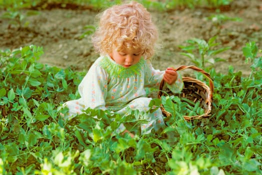 Sara Robinson playing in the Garden in Jericho, VT