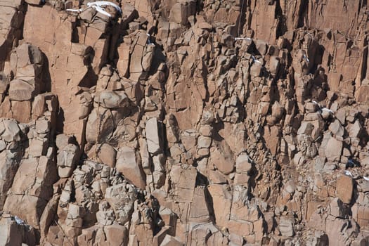 Rock Formation