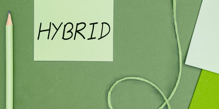 Text sign showing Hybrid, Business approach offspring of two plants or animals of different species or varieties