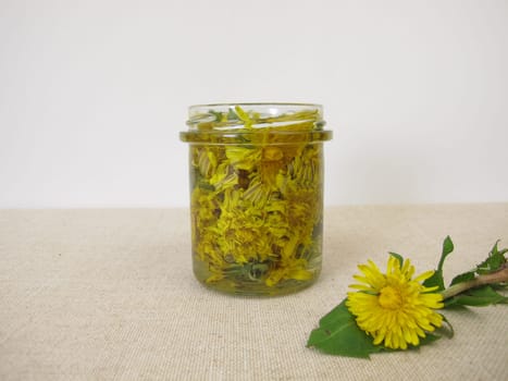 Tincture with dandelion flowers in a glass jar
