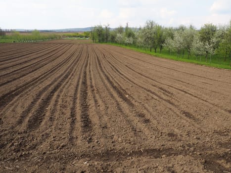 Landscape with agricultural land plowed, prepared for harvest. Agricultural landscape, arable land for temporary crops that can be plowed and used to grow crops. Serbia, Sremska Mitrovica, Fruska gora