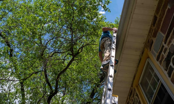 Low angle side view of man on ladder cleaning gutters of old stone home with tall tree and large leafy branches overhead, blue sky and clouds. Architectural features visible and one window.