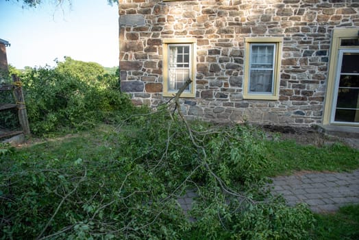 Cut fallen tree branches lay in the yard with a stone farmhouse background with windows and door visible, no people, and copy space.