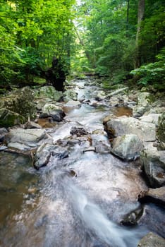 Vertical long exposure green woodland stream nature background shot with large  gray stones and water flowing away from the camera in a stream with a fallen tree footbridge in background. Natural light with no people and copy space.
