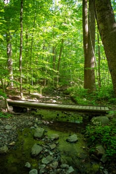 Beautiful woodland scene with tall trees and green foliage over a flowing stream with stones and green banks. Long wooden footbridge goes across image in dappled sunlight with no people.
