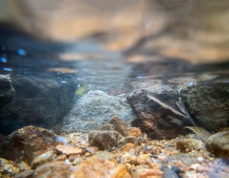 flowing water ripples and bubbles over colorful textured rocks in a clean beautiful Pennsylvania waterway. Underside of water surface reflects creek bed. Great background with copy space and no people.