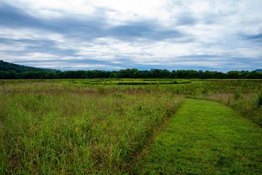 A dramatic sky with clouds over a wildflower meadow field with circular earthworks ring in the background. Path curves left and is neatly cut with tall plants on either side. Idyllic journey concept. Siep Earthworks Ohio