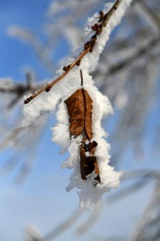 beautiful winter landscape in sunny weather