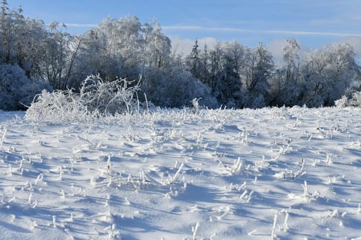 beautiful winter landscape in sunny weather