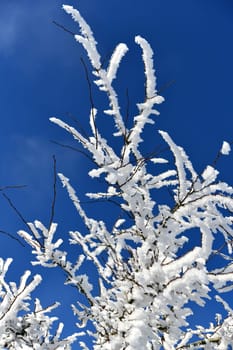 beautiful winter landscape in sunny weather