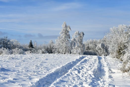 beautiful winter landscape in sunny weather