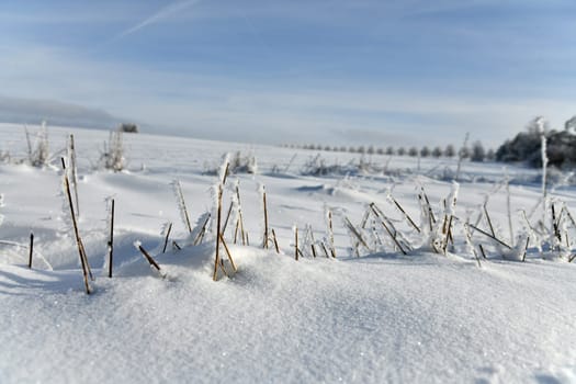 beautiful winter landscape in sunny weather