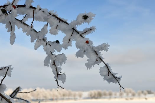 beautiful winter landscape in sunny weather