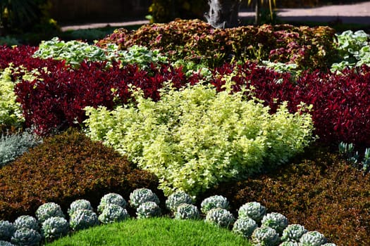 Flower bed with different plants