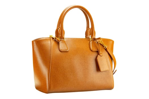 Leather bag isolated. Fashionable brown female elegant luxury women handbag isolated on a white background. Clipping path. Woman trendy accessories.