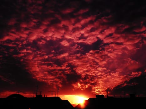 Red purple pink sunset sky cloud. Dramatic sunset sky. Wonderful sunset. Clouds in the evening sky. The sun's rays pierce the clouds. Beautiful landscape. The sun goes down.