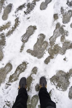 Detail of a walk through nature on a cold winter day, snow and ice