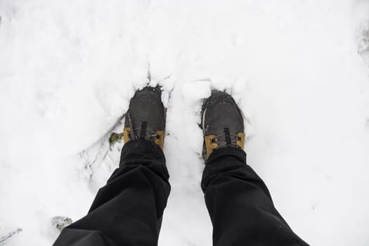 Detail of a walk through nature on a cold winter day, snow and ice