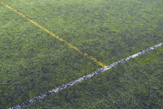 Soccer field detail, competition and rivalry, elite sport