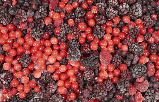 Background from many frozen berries