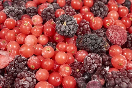 Background from many frozen berries
