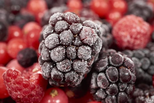 Macro intake of frozen blackberry on other berries