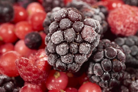 Macro intake of frozen blackberry on other berries