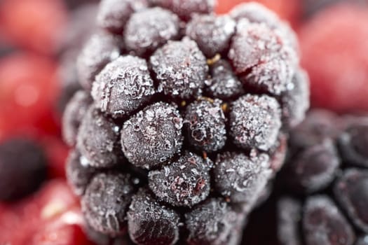 Macro intake of frozen blackberry on other berries