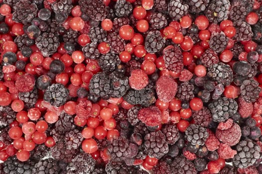 Background from many frozen berries