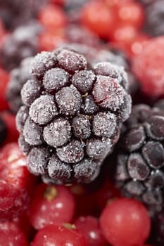 Macro intake of frozen blackberry on other berries