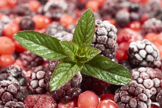 Various frozen berries with mint leaves