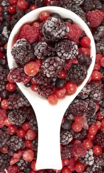 Frozen berries in white porcelain bowl