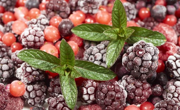 Various frozen berries with mint leaves