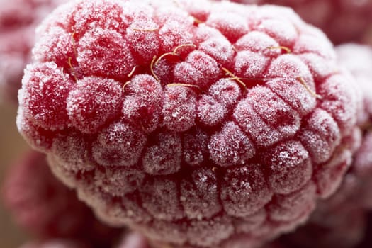 Macro-intake of frozen raspberry with ice crystals