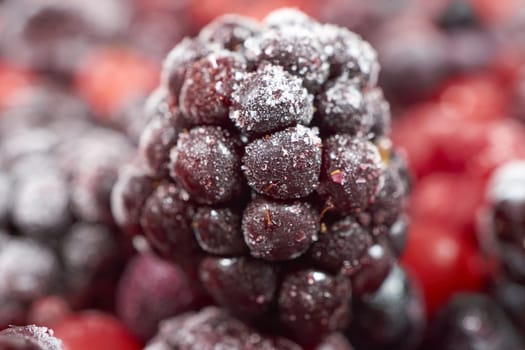 Macro intake of frozen blackberry on other berries