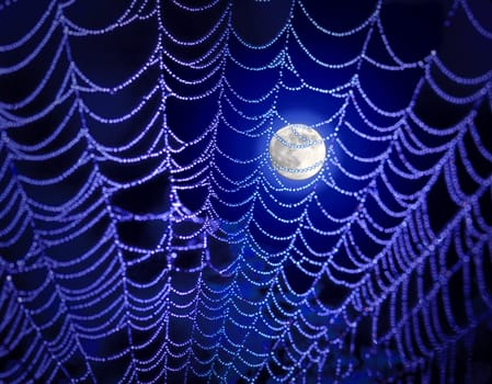 Photo Illustration of the moon and spider web.